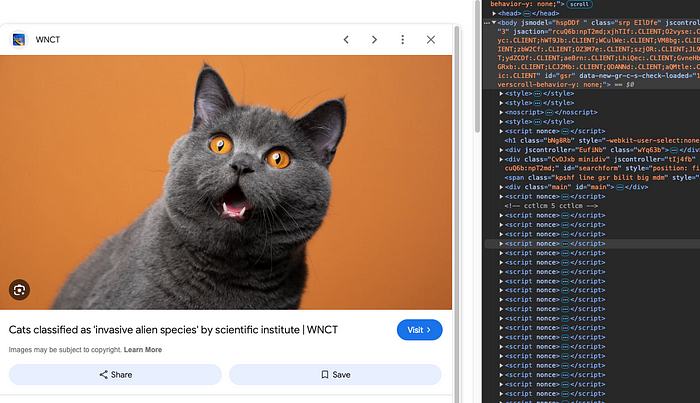 How to Scrape Google Images with Python